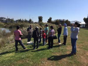 Great walk through the wetlands learning about the local habitat